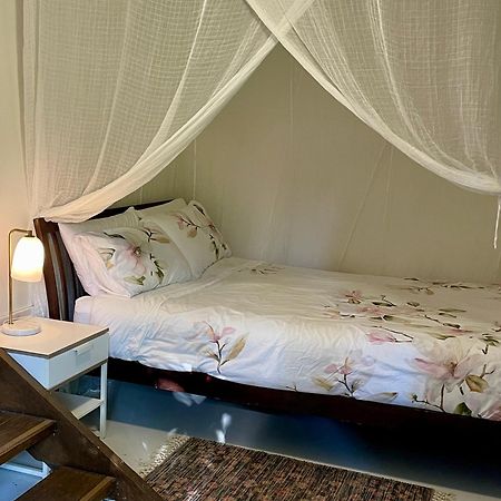 Lilli Pilli Guesthouse Byron Bay Dış mekan fotoğraf