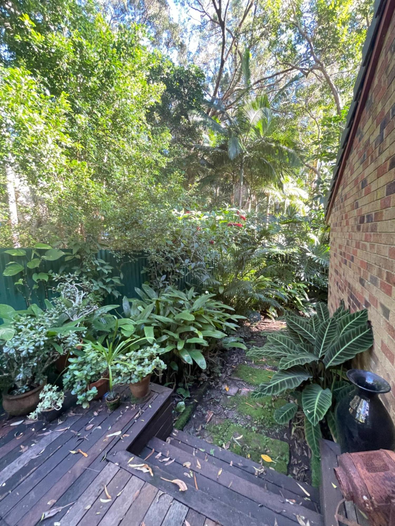 Lilli Pilli Guesthouse Byron Bay Dış mekan fotoğraf